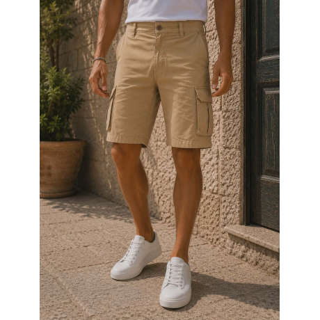 Cargo Βερμούδα VR71
